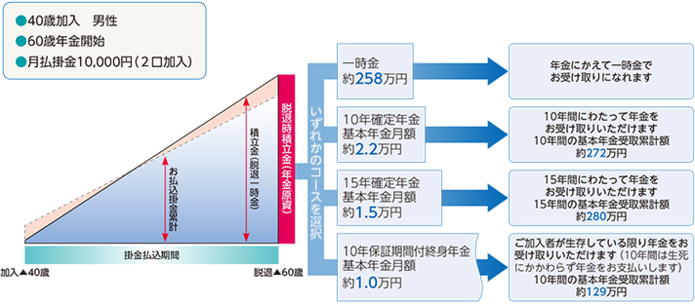 全税共年金